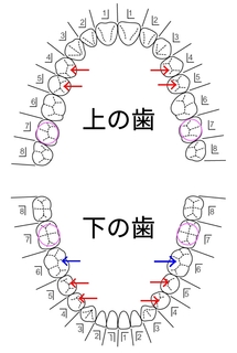 20171217143102708.jpg